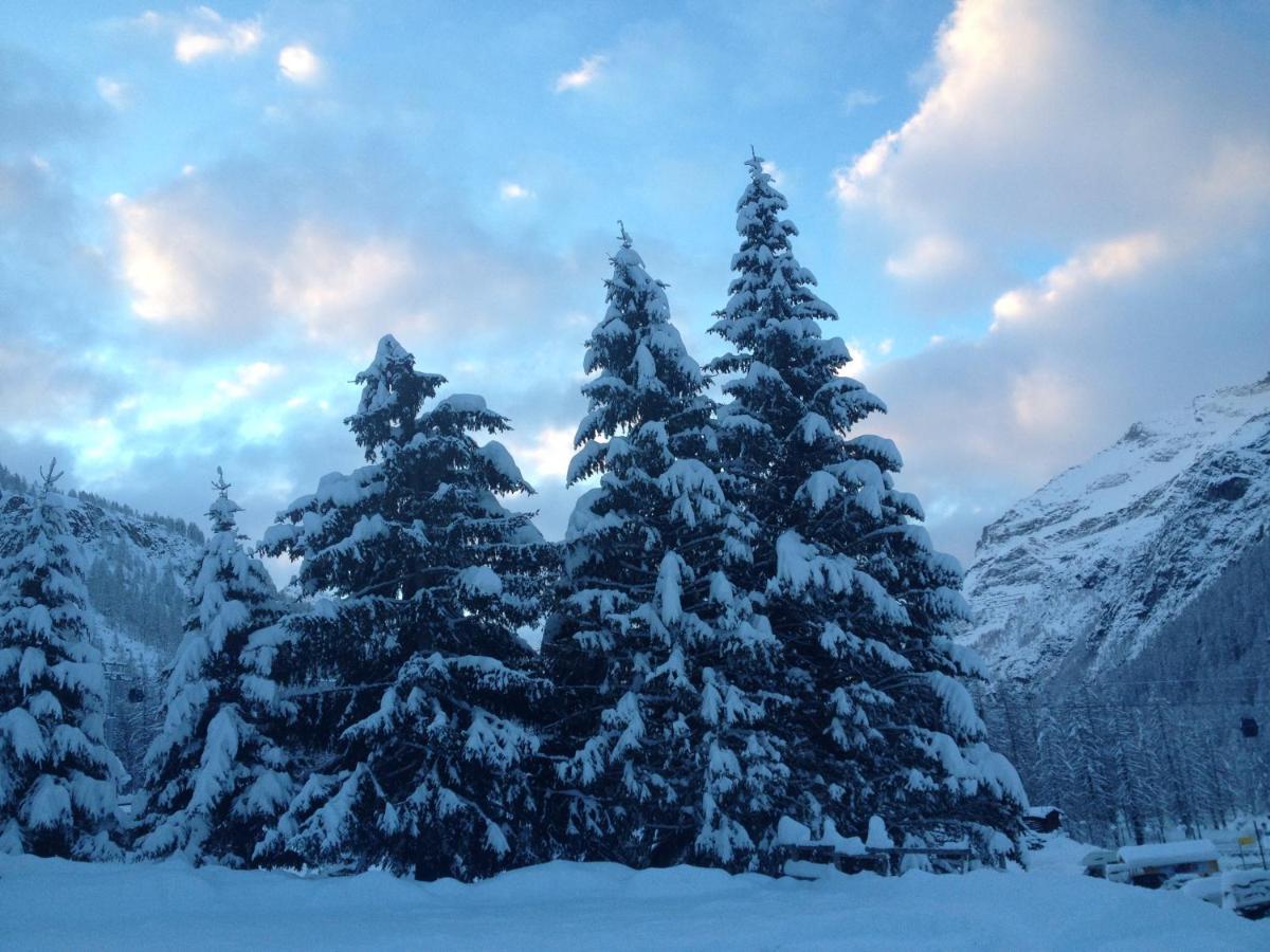 Hotel Nordend Gressoney-la-Trinité Exteriör bild